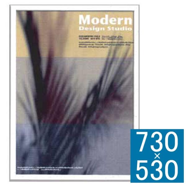 アートフレーム フレーム 壁飾り 額縁 壁掛けインテリア 壁掛けアート フレームアート ディスプレイ...