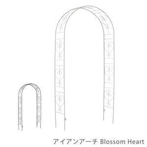 アーチ ガーデンアーチ アイアンアーチ アイアン パーゴラ 門 フェンス バラ 薔薇 園芸支柱 支柱 薔薇アーチ バラアーチ つる性植物 つた 蔦 ツタ ガーデン｜kplanning