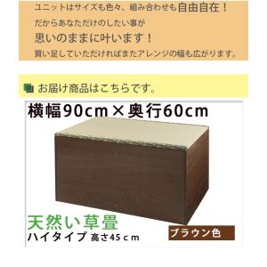 幅90 60cm 送料無料 ハイ 畳ベンチ Snai0015 デザイン雑貨 家具 収納スツール 畳ユニット 畳収納ボックス 畳 畳ベッド ブラウン 畳ユニット 畳収納ユニット 畳ボックス 収納ベンチ い草 小上がり ブラウン 高床式 ワカバマート
