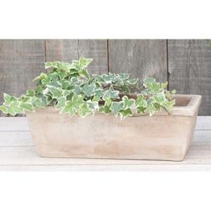 植木鉢 長方形ランキング ギガランキングｊｐ