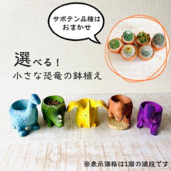 選べる　小さな恐竜の鉢植え　サボテンの品種はおまかせ　多肉植物　インテリア　在宅ワーク　デスク