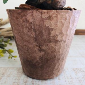観葉植物 おしゃれ ガジュマル 木の香りがする...の詳細画像4