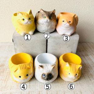 選べる 小さな猫の鉢植え サボテンの品種はおま...の詳細画像1