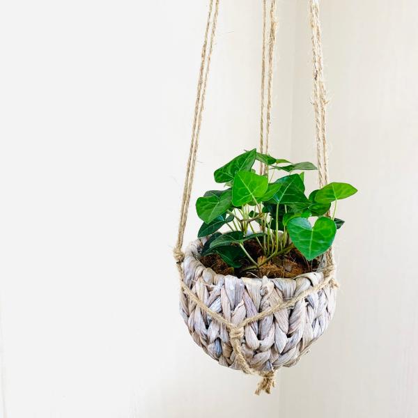 壁掛け　オシャレ　ハートアイビー　ヘデラ　ナチュラルバスケット　インテリア　観葉植物　吊るす　植木鉢...