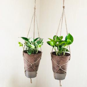 おしゃれ 観葉植物 吊り下げ ポトス エンジョ...の詳細画像3