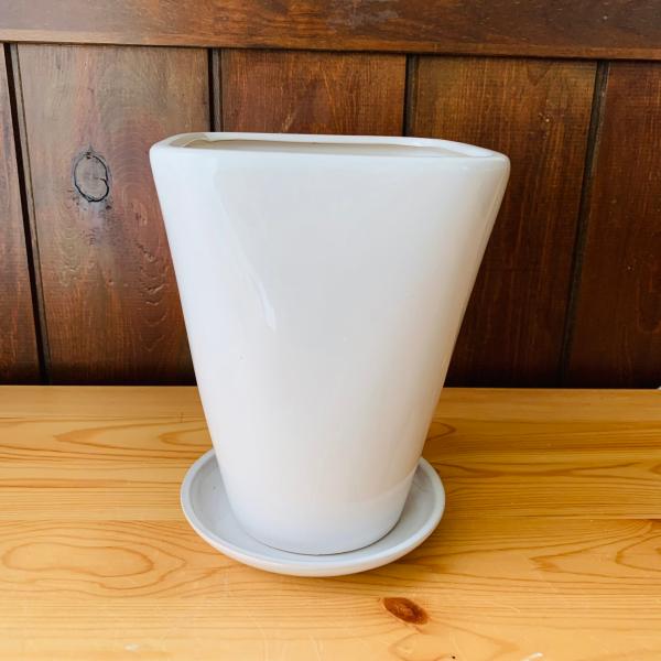 5号　ホワイトスクエアロング　受け皿付き　おしゃれ　観葉植物　　室内　引っ越し　ギフト