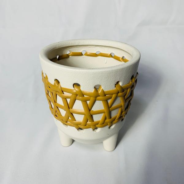 ラタン　白　おしゃれ　観葉植物　　室内　引っ越し　ギフト