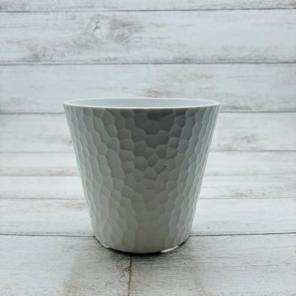 4号　ホワイトシェル鉢　おしゃれ　観葉植物　　室内　引っ越し　ギフト