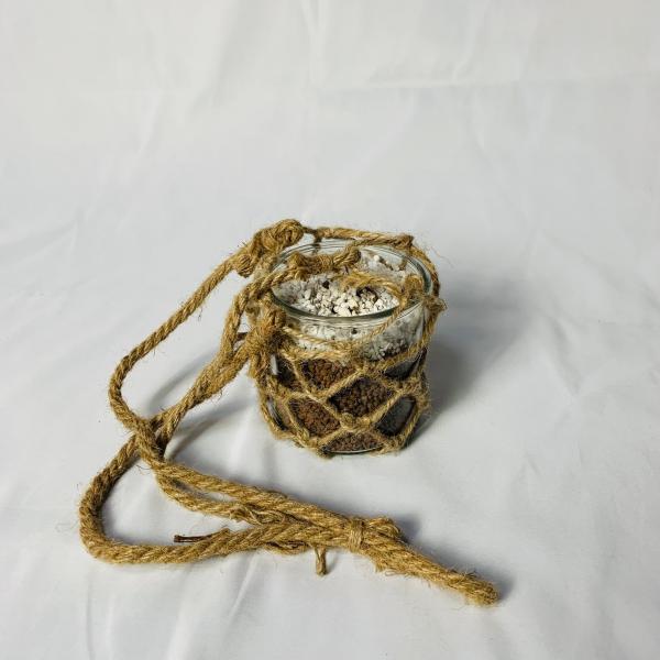 グラスハンキング　おしゃれ　観葉植物　　室内　引っ越し　ギフト　吊るす　壁掛け