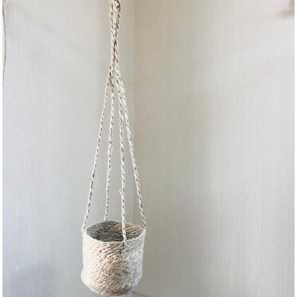 ジュードハンギング　5号　おしゃれ　観葉植物　　室内　引っ越し　ギフト　吊るす　壁掛け