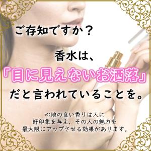 アトマイザー 香水ボトル スプレーボトル 5m...の詳細画像3