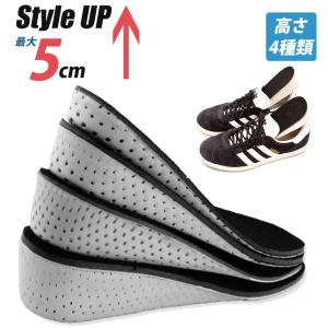 シークレット インソール 厚底 低反発 中敷き ...の商品画像