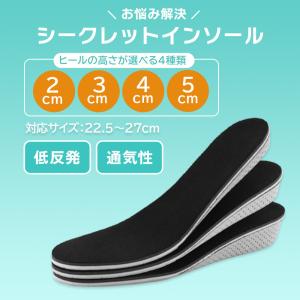 シークレット インソール 厚底 低反発 中敷き...の詳細画像2