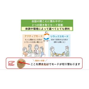 【左耳用 】Nikon ニコン・エシロール デ...の詳細画像3