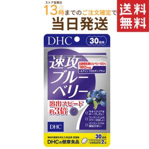 DHC 速攻ブルーベリー 30日分 送料無料