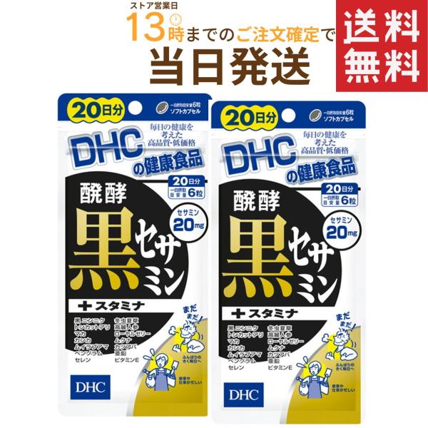 DHC 醗酵黒セサミン+スタミナ 20日分 120粒×2セット 送料無料