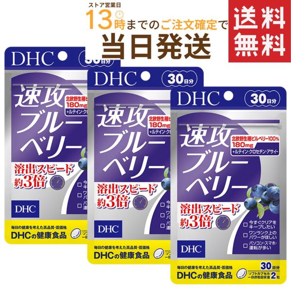 DHC 速攻ブルーベリー 30日分×3セット 送料無料