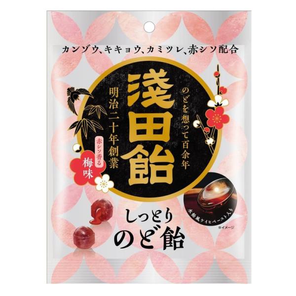 浅田飴 浅田飴しっとりのど飴赤シソ香る梅味 61g×6個