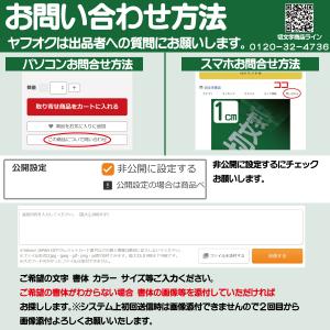 カッティングステッカー 文字高さ3センチ 一文...の詳細画像2