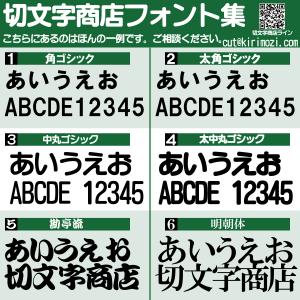 カッティングステッカー 文字高さ3センチ 一文...の詳細画像5