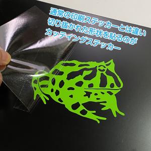 カエル B 爬虫類 両生類 カッティング ステ...の詳細画像5