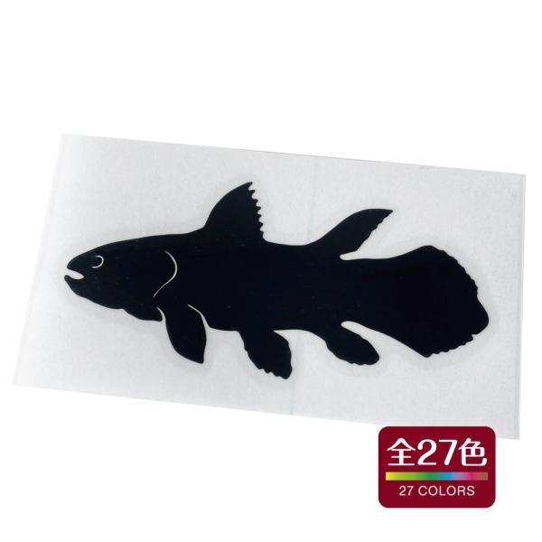 シーラカンス カッティング ステッカー 屋外 耐熱 耐水 アウトドア おしゃれ かわいい 全27色