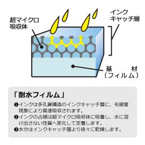 プラス ラベルシール 超耐水光沢フィルムラベル...の詳細画像3