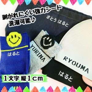 10点セット 1cm小さめサイズ文字のみアイロ...の詳細画像2