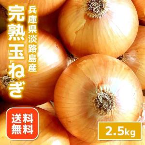 【送料無料】淡路島産 玉ねぎ 5kg おまかせサイズ Mサイズ〜2Lサイズ　たまねぎ　5キロ