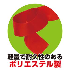 ARTEC 新体操リボン レッド ATC18937の詳細画像2