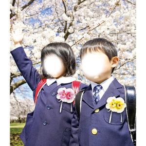 ARTEC コサージュ 胡蝶蘭 イエロ- AT...の詳細画像1