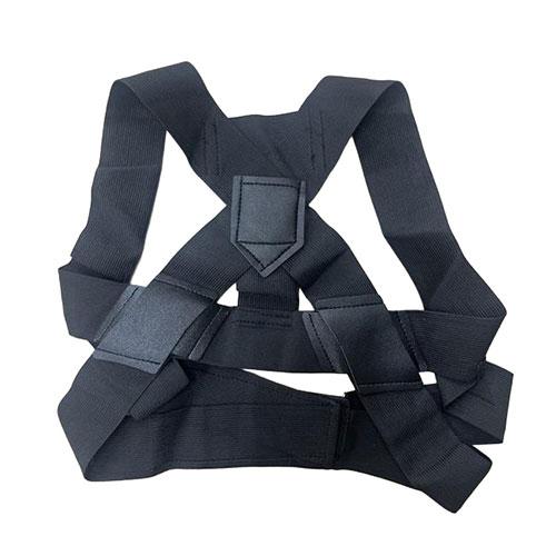 デジタルランド 背筋サポーター Mサイズ 正しい姿勢でカッコいいカラダを DL-YU529M