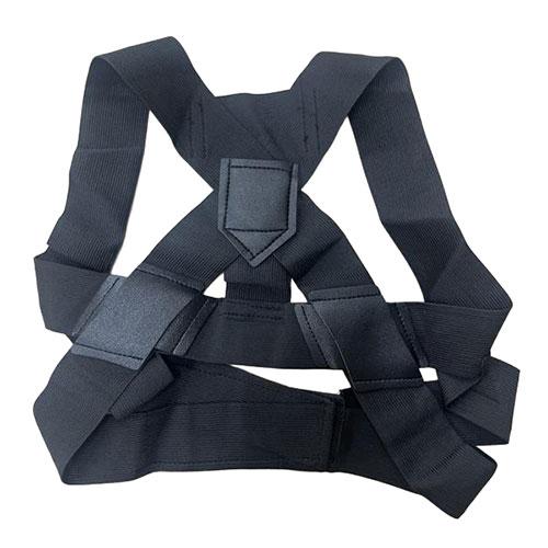 デジタルランド 背筋サポーター Lサイズ 正しい姿勢でカッコいいカラダを DL-YU529L