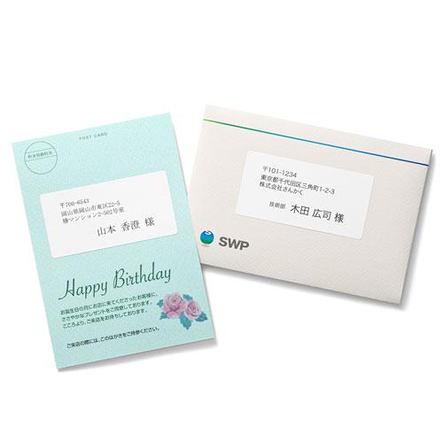 〔5個セット〕 サンワサプライ インクジェットプリンタ用宛名ラベル JP-TA10ANX5