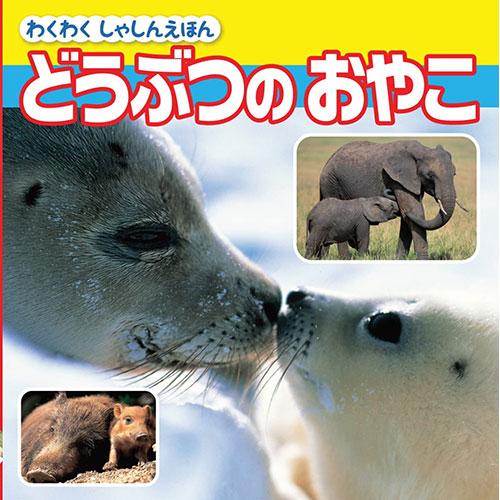 COSMOS コスモス わくわくしゃしんえほん どうぶつのおやこ CSS62067