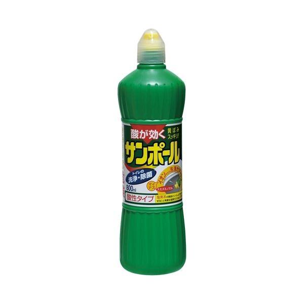 (まとめ) 大日本除蟲菊 サンポール 800ml〔×10セット〕