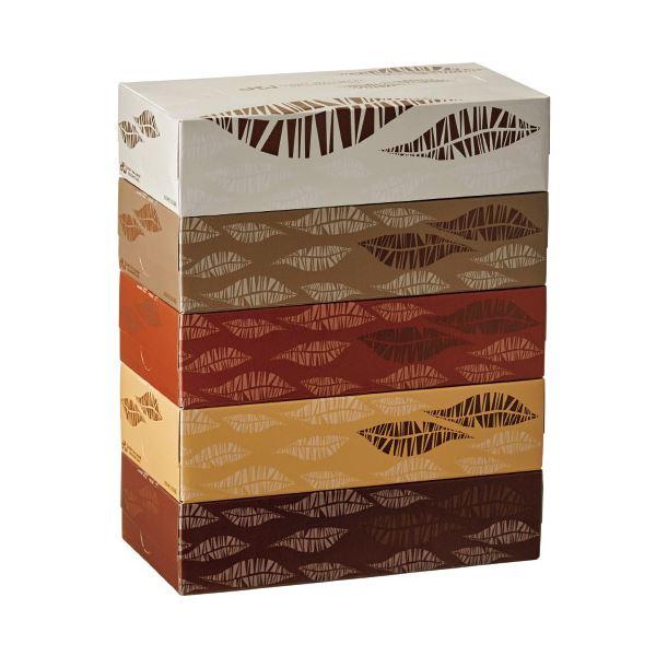 TANOSEE ティッシュペーパーFeathers 200組/箱 1セット(60箱：5箱×12パック...