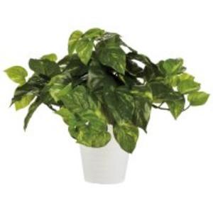 東北花材 人工樹木 ポトスブッシュ 90240