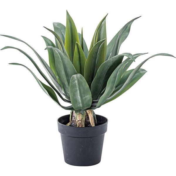 フェイクグリーン 観葉植物 アガベ 約幅53×奥行53×高さ53cm リビング 店舗 ショップ イン...