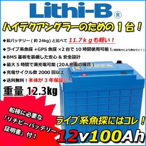 12V 100Ah 防水リチウムディープサイクルバッテリー SE-121000 充電器