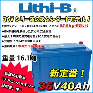 リチウム電池 充電器 Lithi-B 12V10A 楽天市場】LiTime 12V10A LiFePo4専用充電器 アンダーソン