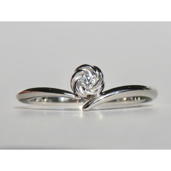 PTマメナシリング