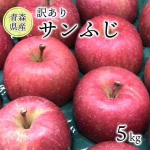 りんご　5kg　家庭用　訳あり　サンふじ 青森県産 光センサー選果｜ケイエス青果