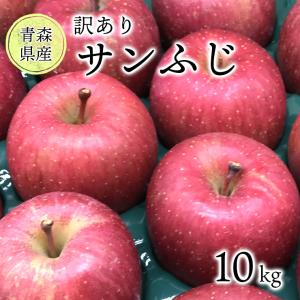 りんご　10kg(5kg×2箱)　家庭用　訳あり　サンふじ 青森県産 光センサー選果｜ケイエス青果