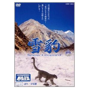 雪豹 Snow Leopard ＜DVDネイチャーシリーズ 野生の王国＞