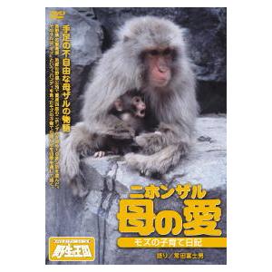 ニホンザル 母の愛 モズの子育て日記 ＜DVDネイチャーシリーズ 野生の王国＞