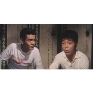 見上げてごらん夜の星をの詳細画像3