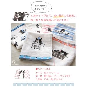 アウトレット価格 タオル ハンドタオル 6枚 ...の詳細画像4