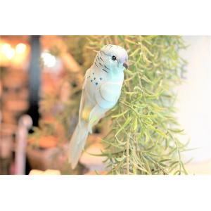 アクア・セキセイ　GM-08　アニマル　ガーデニン