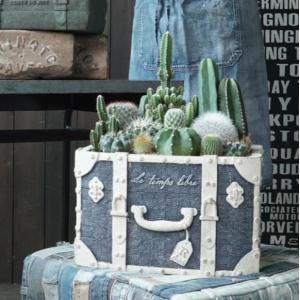 ブリキプランター ガーデニング雑貨 鉢 ブリキポット 多肉植物